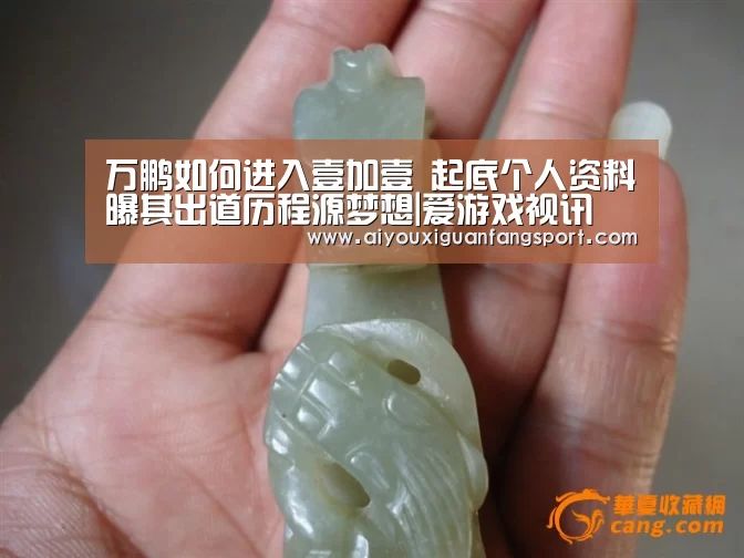 万鹏如何进入壹加壹 起底个人资料曝其出道历程源梦想|爱游戏视讯(图3) 爱游戏官方