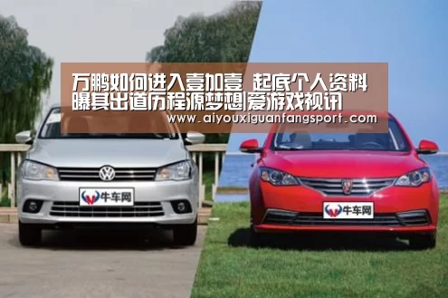 万鹏如何进入壹加壹 起底个人资料曝其出道历程源梦想|爱游戏视讯(图1) 爱游戏官方